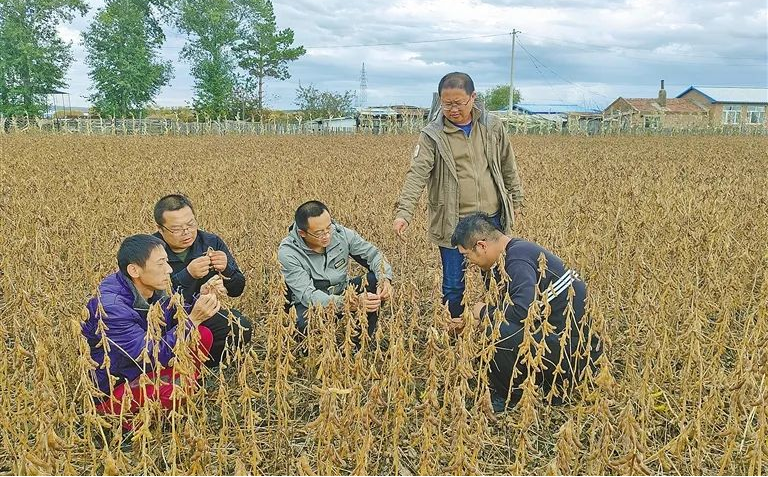 中央一號文件里的內(nèi)蒙古實(shí)踐種業(yè)振興篇相關(guān)圖片